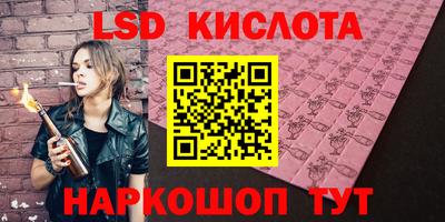 гашик Камышлов