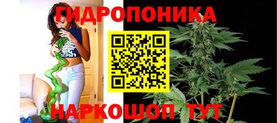 гашик Камышлов