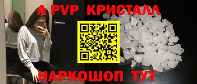 гашик Камышлов