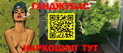 гашик Камышлов