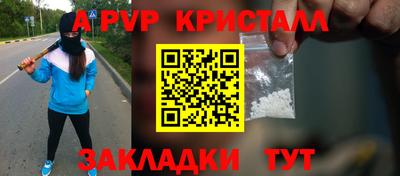 гашик Камышлов