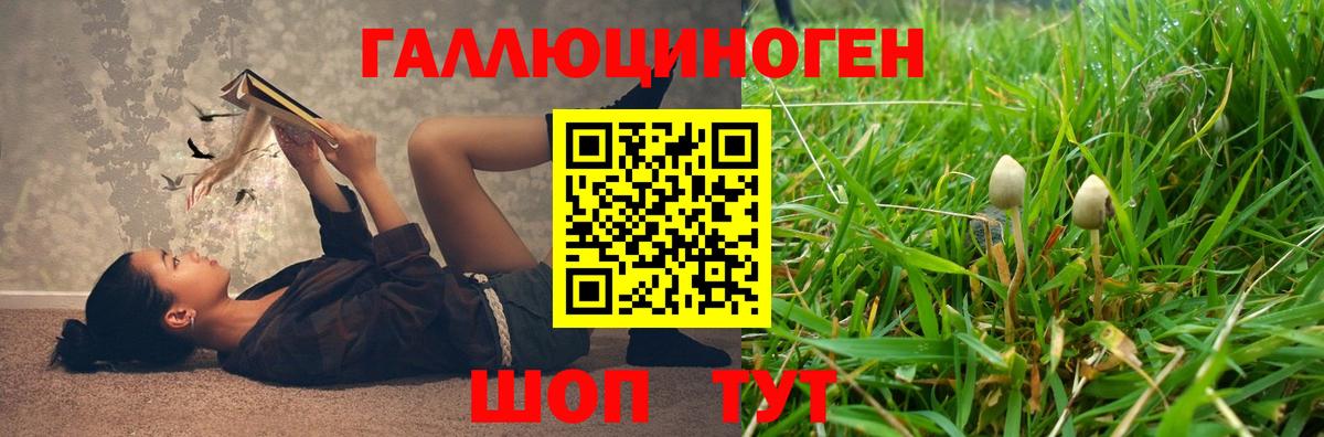 Галлюциногенные грибы мицелий Ливны